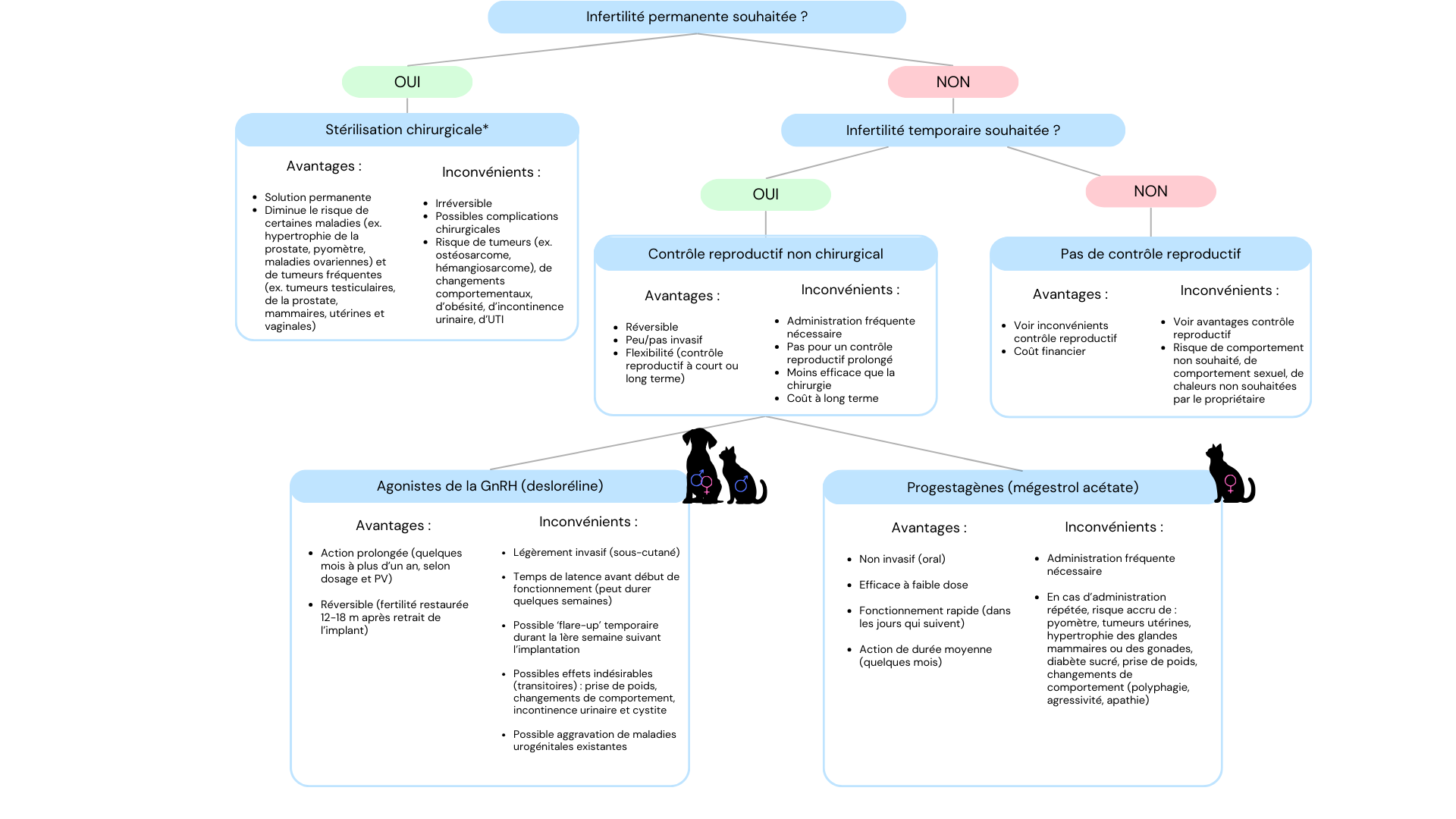 Aperçu des différentes possibilités de contrôle reproductif chez le chien et le chat