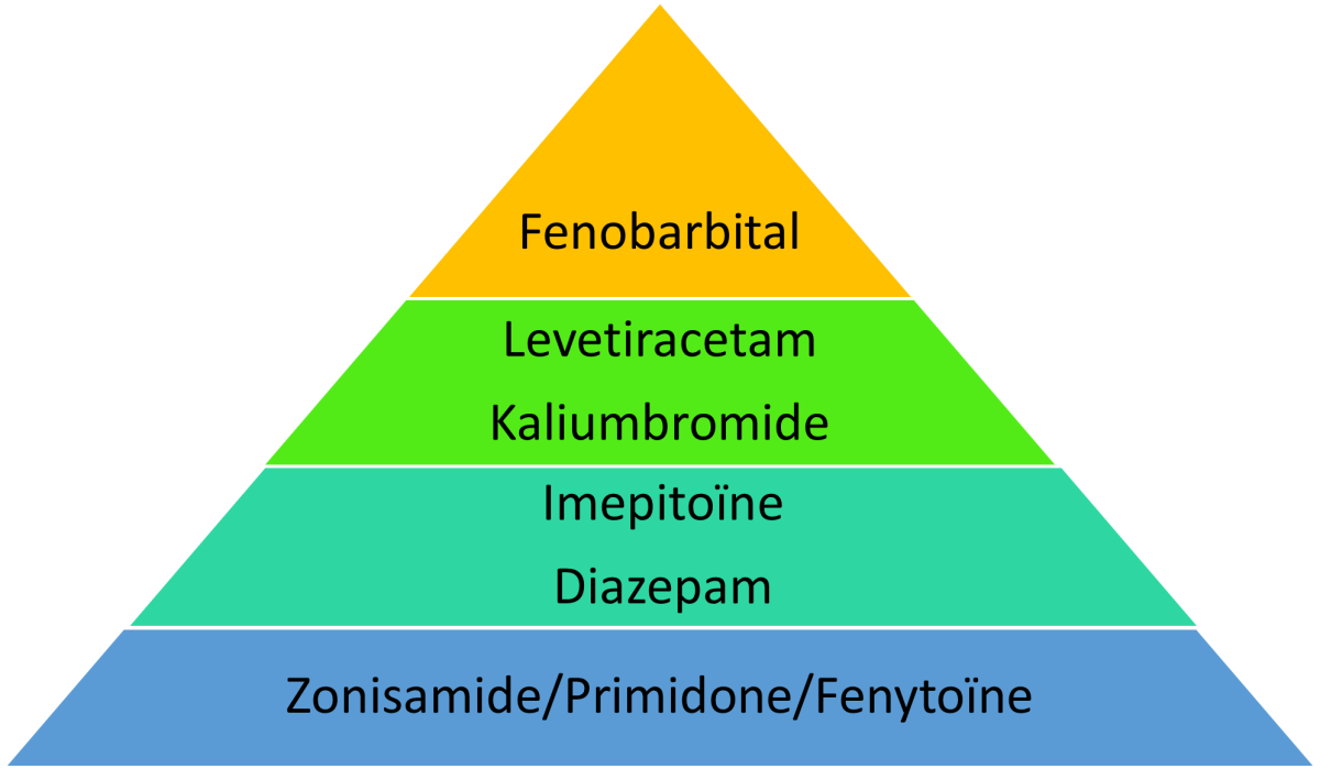 Doeltreffenheid van antepileptische geneesmiddelen