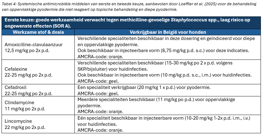 Systemische antimicrobiële middelen van eerste en tweede keuze, aanbevolen door Loeffler et al. (2025) voor de behandeling van oppervlakkige pyodermie die niet reageert op topische behandeling en diepe pyodermie.