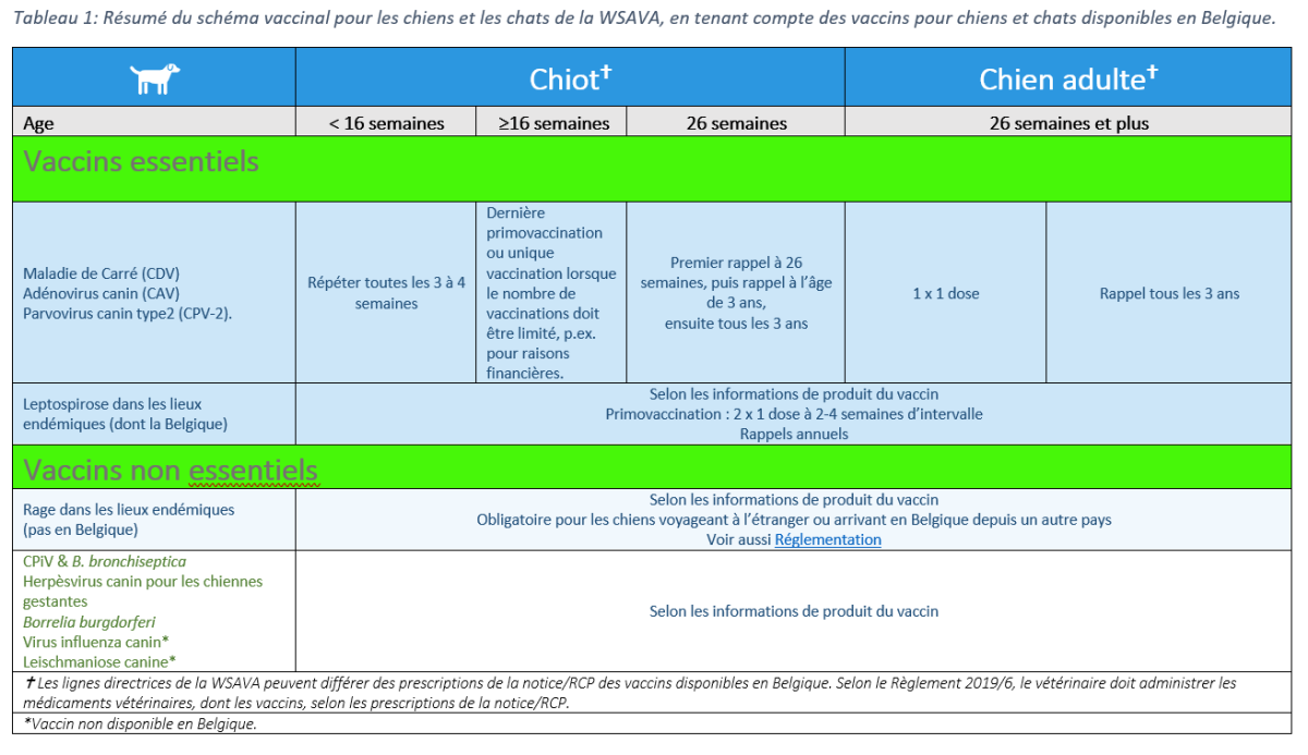 Résumé du schéma vaccinal pour les chiens et les chats de la WSAVA