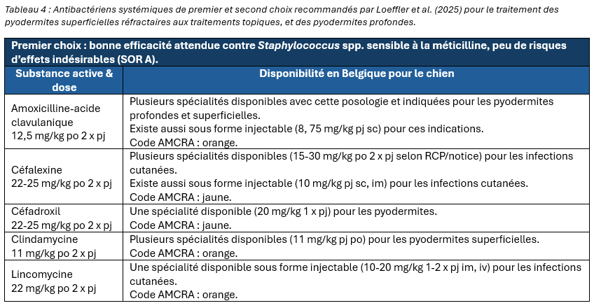 Antibactériens systémiques de premier et second choix recommandés par Loeffler et al. (2025) pour le traitement des pyodermites superficielles réfractaires aux traitements topiques, et des pyodermites profondes