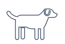 hond