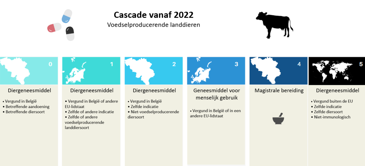 Cascaderegels voor voedselproducerende landdieren vanaf 28/01/2022