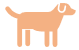 Notifications chez le chien