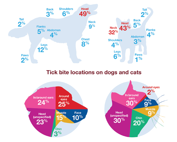 Figuur 1: De belangrijkste plaatsen op het lichaam van de hond en de kat waar teken teruggevonden kunnen worden (naar Wright et al., 2018).