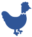 Notifications chez la poule