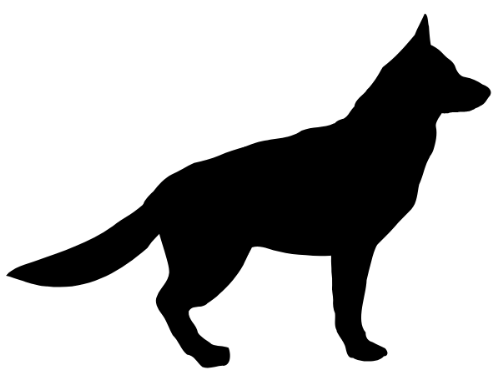 chien