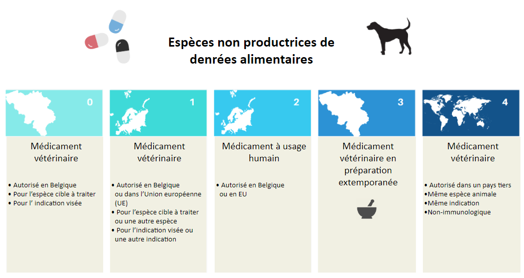 cascade thérapeutique pour les animaux non producteurs de denrées alimentaires